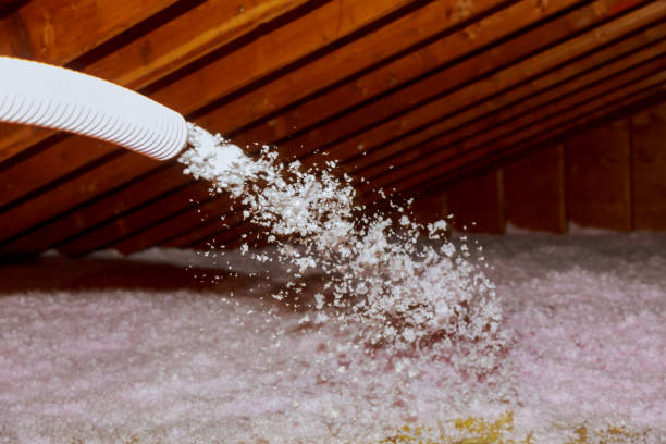 Best Garage Insulation Installation  in San Leon, TX