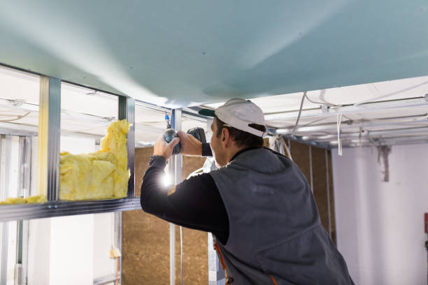 Best Cellulose Insulation  in San Leon, TX
